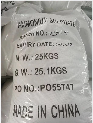 product-307-404 product-307-404